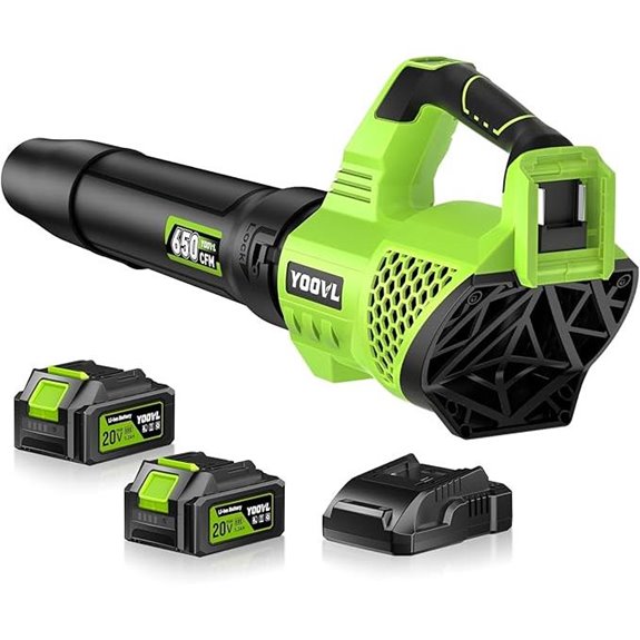 Cordless Leaf Blower with Batteries 3 Speeds