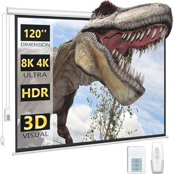 DINAH 120 Electric Drop-Down Projector Screen