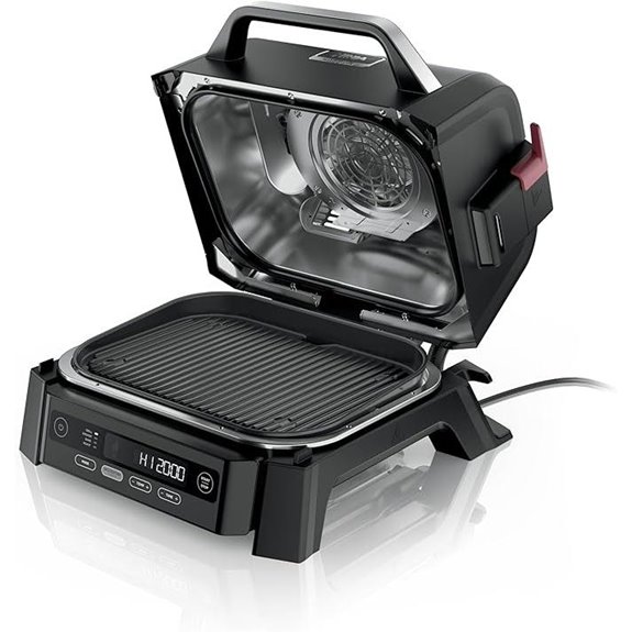 Ninja Woodfire Outdoor Grill & Smoker (OG301)