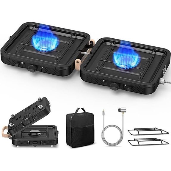 2-Burner Portable Propane Camping Stove with Carrying Bag