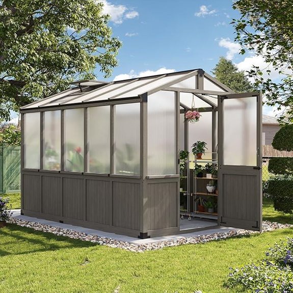 Aoxun 6x10 FT Greenhouse with Vent and Door