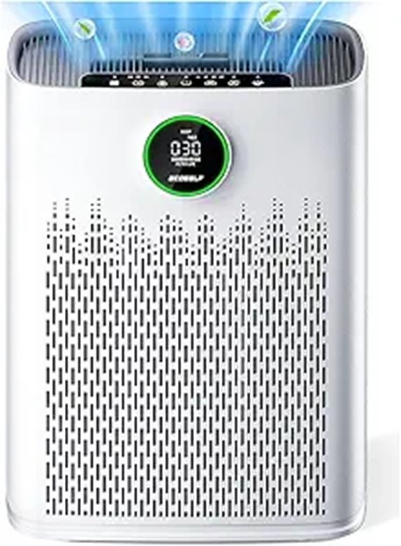 Large Room Air Purifier with HEPA Smart & Aromatherapy