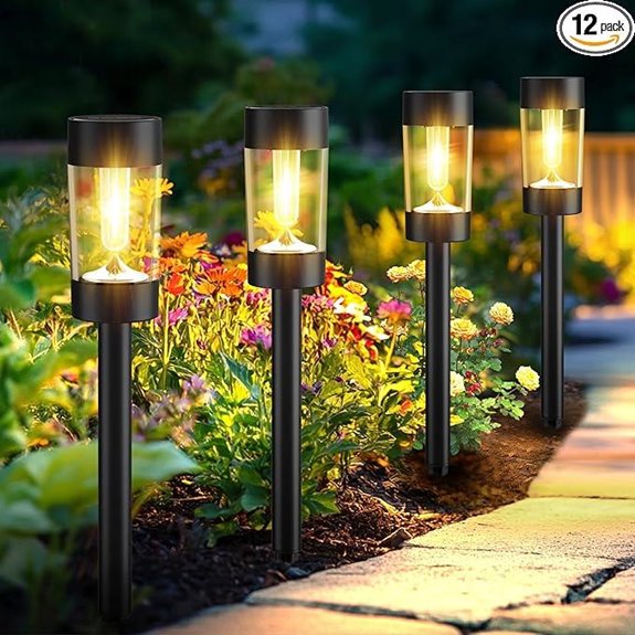 Solar Outdoor Solar Pathway Lights (12 Pack)