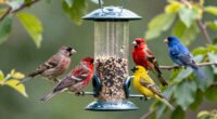 top bird feeders 2026