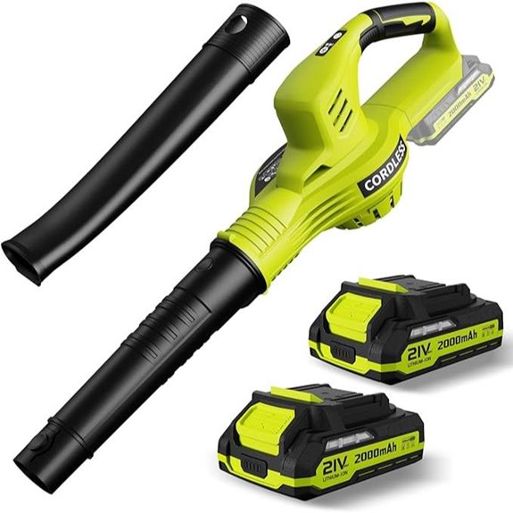 Cordless 21V Leaf Blower with 2 Batteries