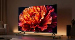 focus on true quality