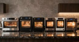 top affordable pizza ovens