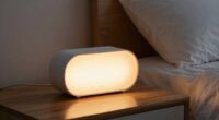 top sunrise alarm clocks