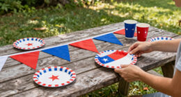 11 Best Patriotic Outdoor Party Supplies in 2026